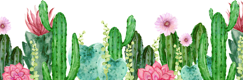 Wreath bouquet border frame succulents cactus